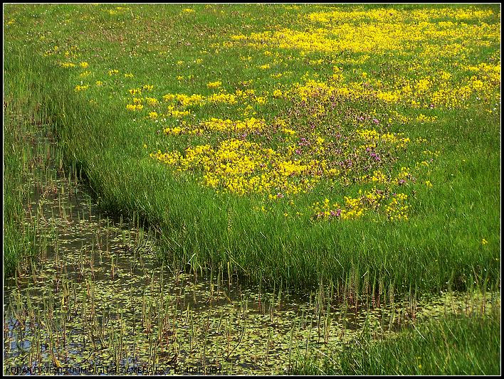 ��Ƭ1 292_nEO_IMG.jpg