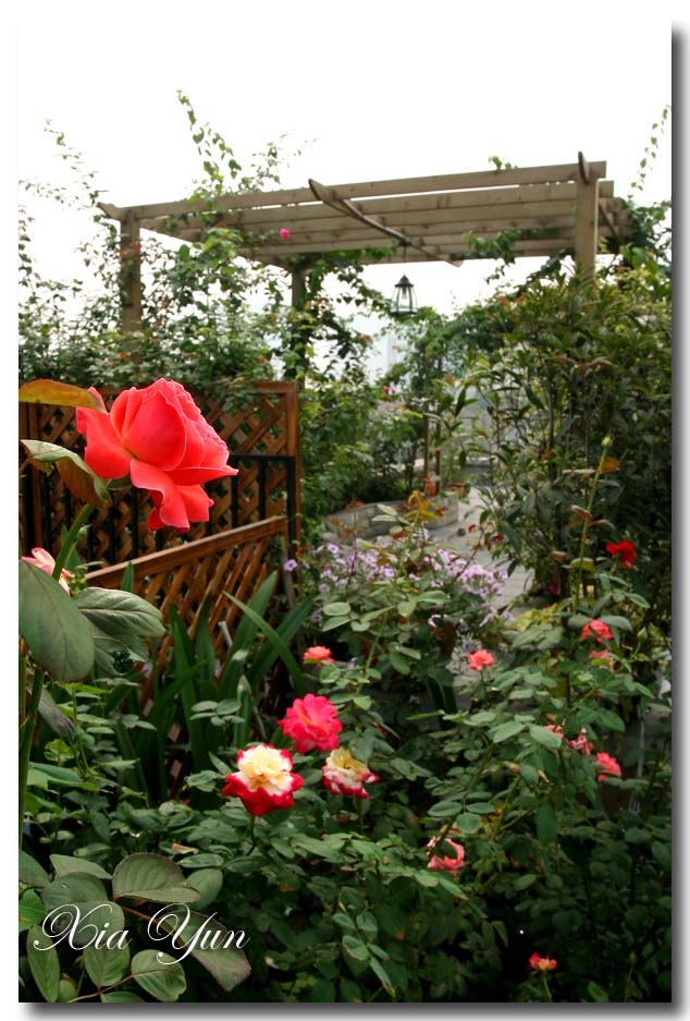 IMG_2045 ����.jpg