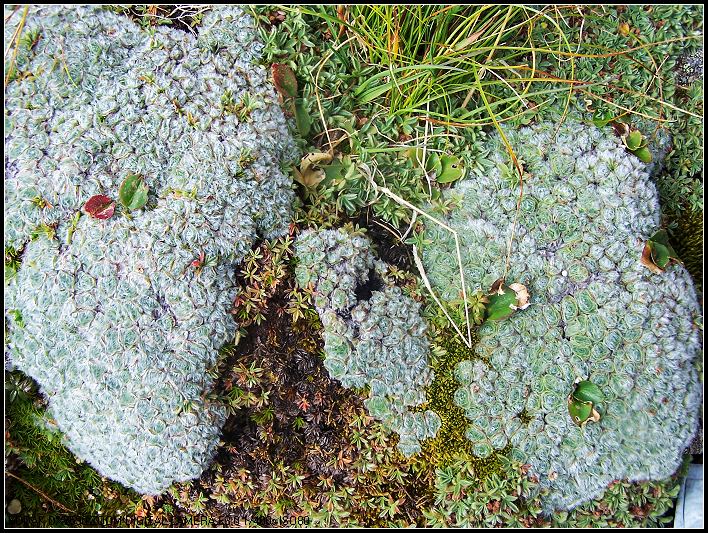 ��Ƭ 433_nEO_IMG.jpg