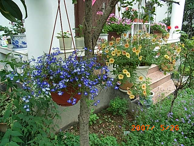 ��Ƭ 039.jpg