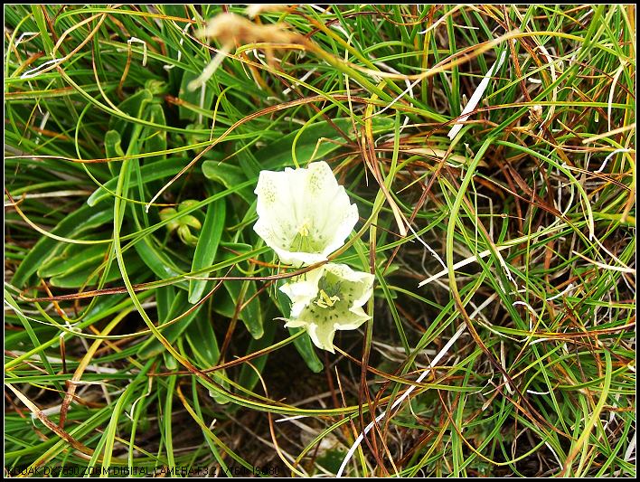 ��Ƭ 440_nEO_IMG.jpg