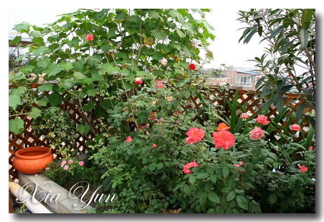 IMG_2027 ����.jpg