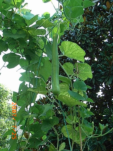 RIMG0033.JPG