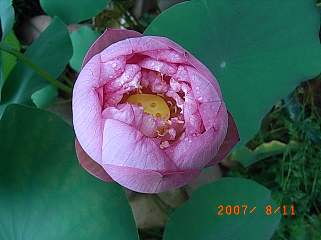 RIMG0012.JPG