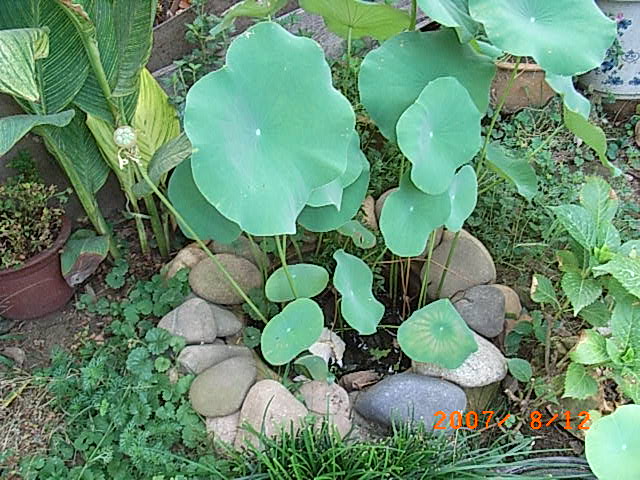 RIMG0021.JPG