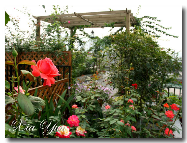 IMG_2036 ����.jpg