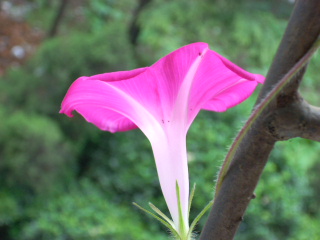 SSCN0088.jpg