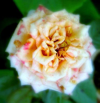 PIC_2430.JPG