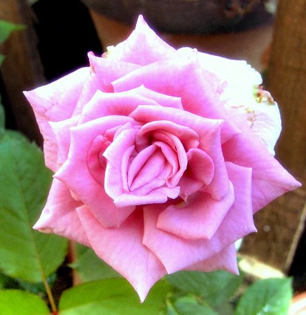 PIC_1636.JPG