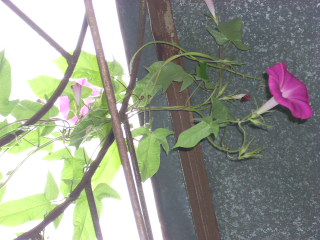 SSCN0093.jpg