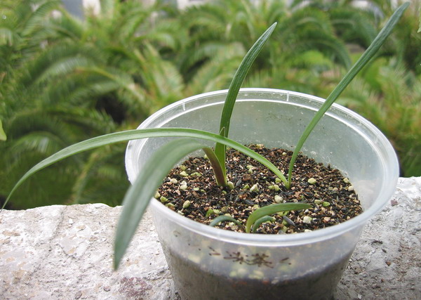 8��19��С���Ӱ