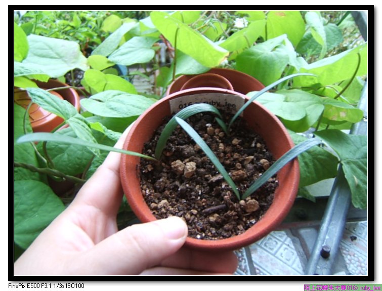 ����С��ȫ�Ҹ�