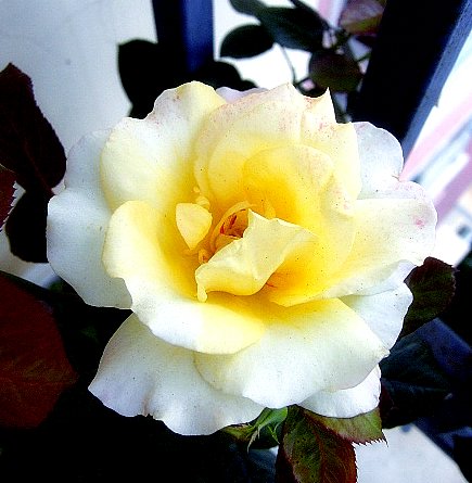 PIC_1843.JPG