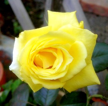 PIC_1244.JPG