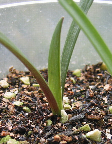 8��19��#1С��