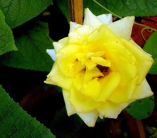 PIC_2436.JPG