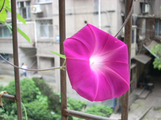 SSCN0087.jpg