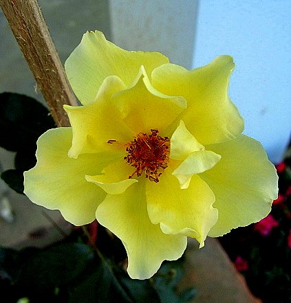 PIC_1258.JPG