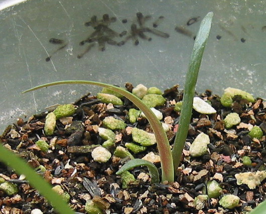 8��19��#2С��