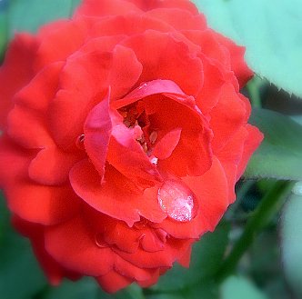 PIC_2374.JPG