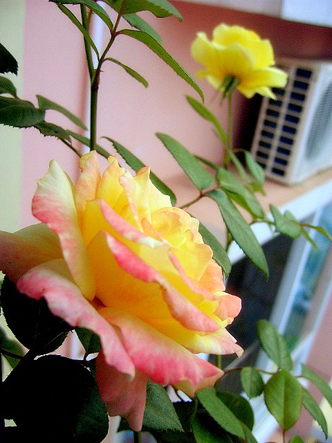 PIC_2101.JPG