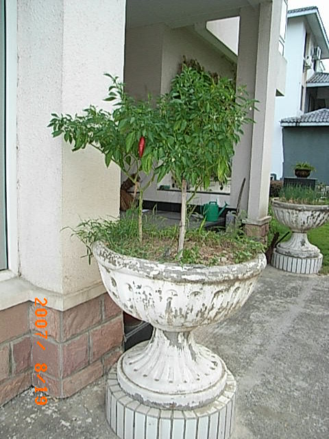 ��ǰ������������ǰ��ס�������µ�