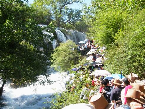 ������С P8130229.JPG