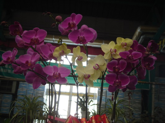 DSC01309_��С��С.jpg