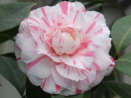2006�꿪��ͼƬ