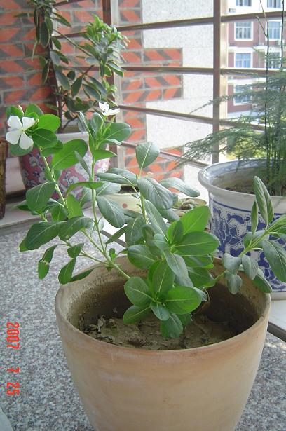 �ջؼ�û���