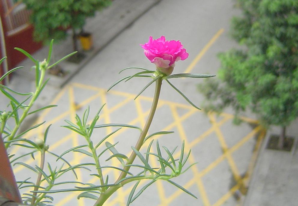 ˳����һ��̽�������̫����