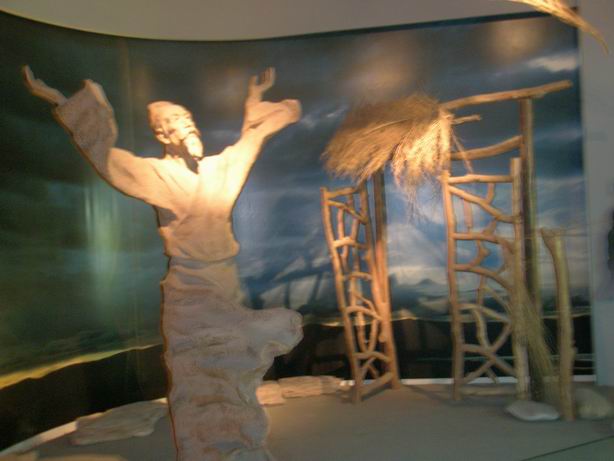 ������С P8090028.JPG