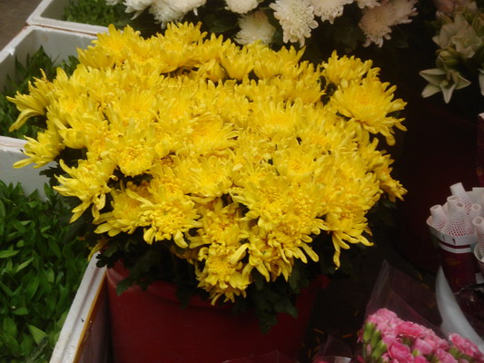DSC01315_��С��С.jpg