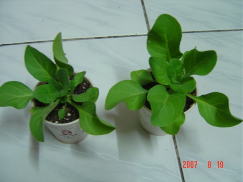 ��ţ��ֽ�����Ѿ�ס������