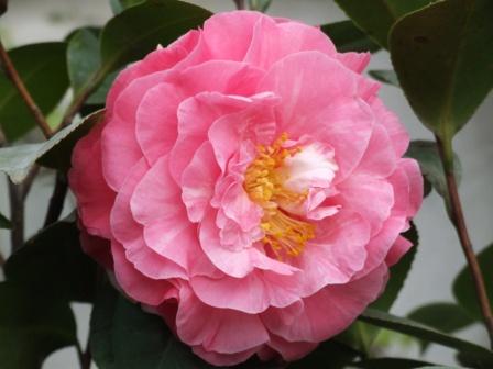 2006�꿪��ѿ�仨ͼƬ