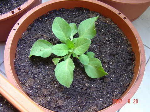 ������¥2