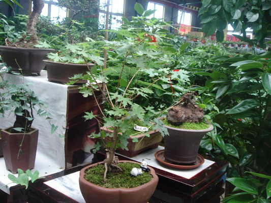 DSC01318_��С��С.jpg