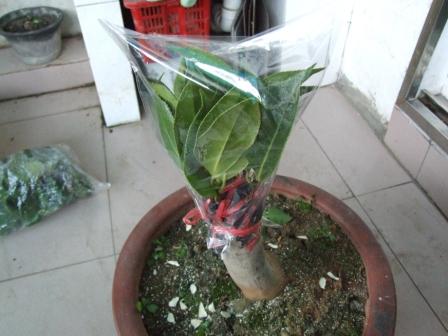 DSCF5358.JPG