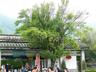 ���Ǻ���Ȫ���ͬ����