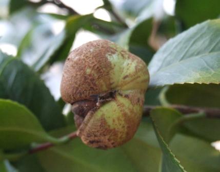 DSCF5980.JPG