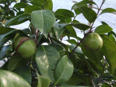 DSCF5970.JPG