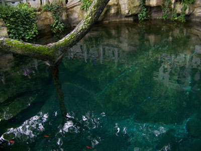 ��������Ȫ