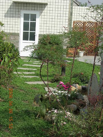 ���������,ľ�������������