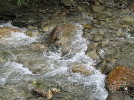 bx050707a_sy.jpg