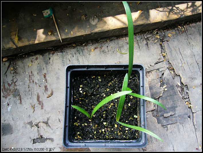 8.23�����İ�ɫ���� 2.jpg