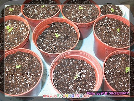 �������ϵ��龰