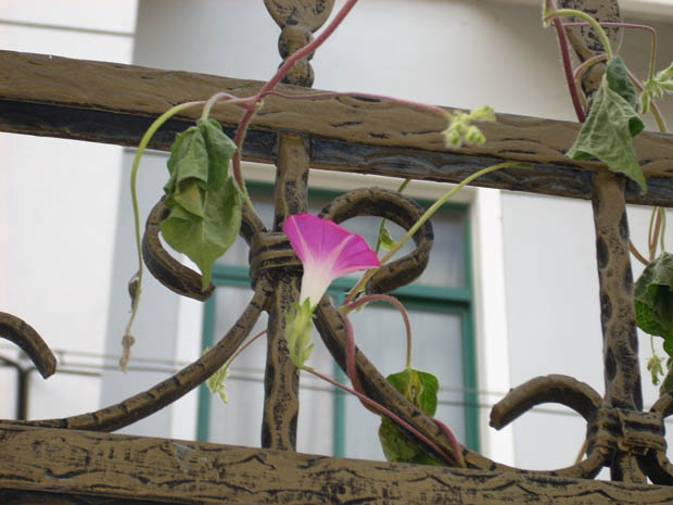 DSCN0232.JPG