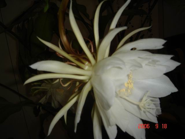 �Ҽҵ�һЩ����