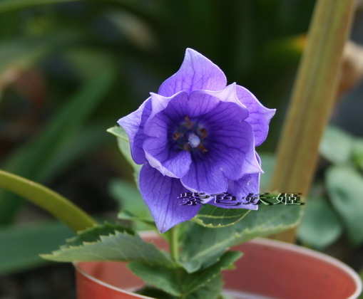 ��Ƭ�ؽ۹�003-1_resize.jpg