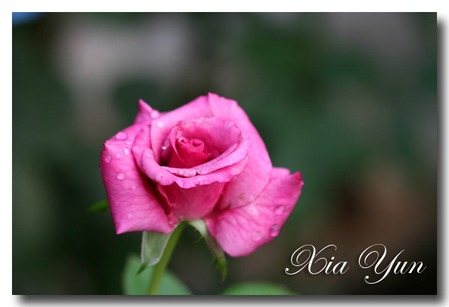 IMG_3354 ����.jpg